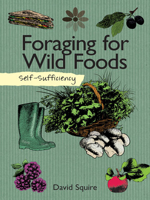 cover image of Foraging for Wild Foods